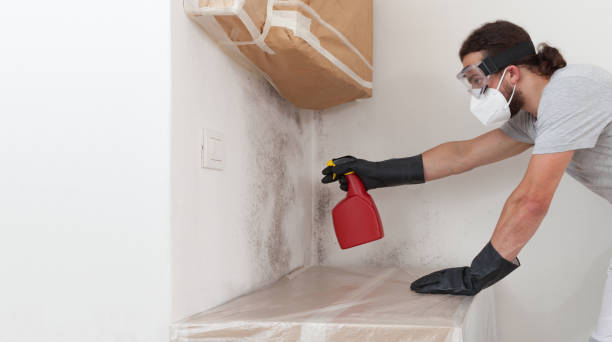 Professional Mold Remediation technician working in Kingston, NY