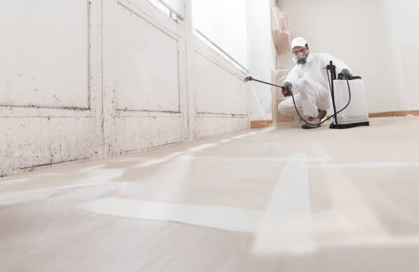 24/7 Emergency Mold Remediation experts in Kingston, NY